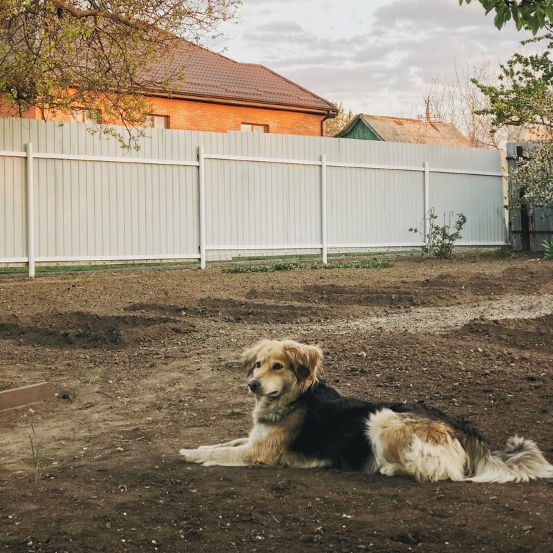 fence installation service